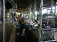 낙농장을 위한 자동적인 젖을 짜는 교류 미터 헤링본 젖을 짜는 객실